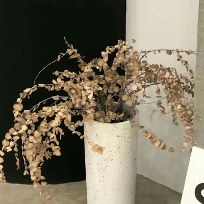 Furry角色动作设计Furry群